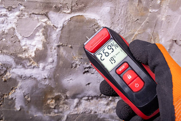 Best Attic Mold Removal  in Ocean City, FL